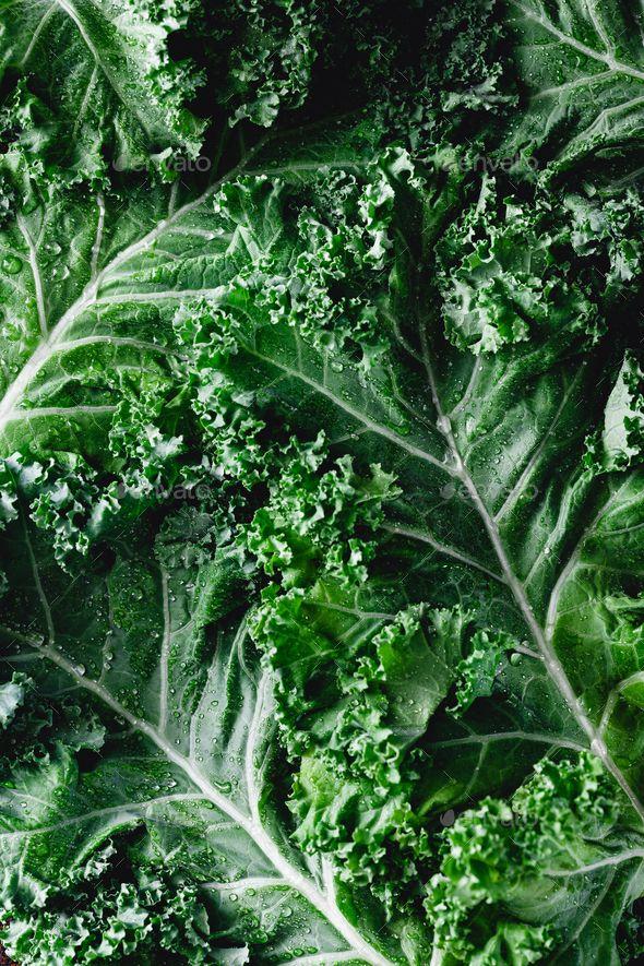 Sown & Grown: Vibrant Veggie Variety Pack